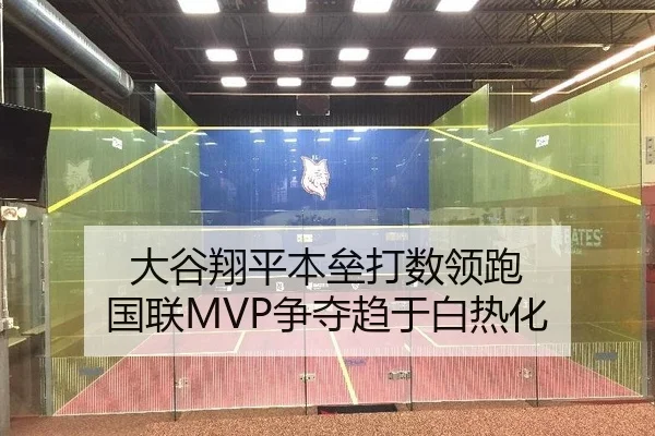 大谷翔平本垒打数领跑 国联MVP争夺趋于白热化