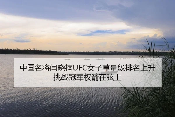 中国名将闫晓楠UFC女子草量级排名上升 挑战冠军权箭在弦上