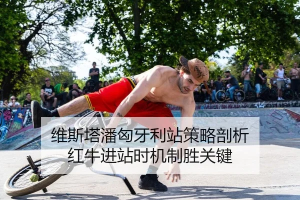维斯塔潘匈牙利站策略剖析 红牛进站时机制胜关键